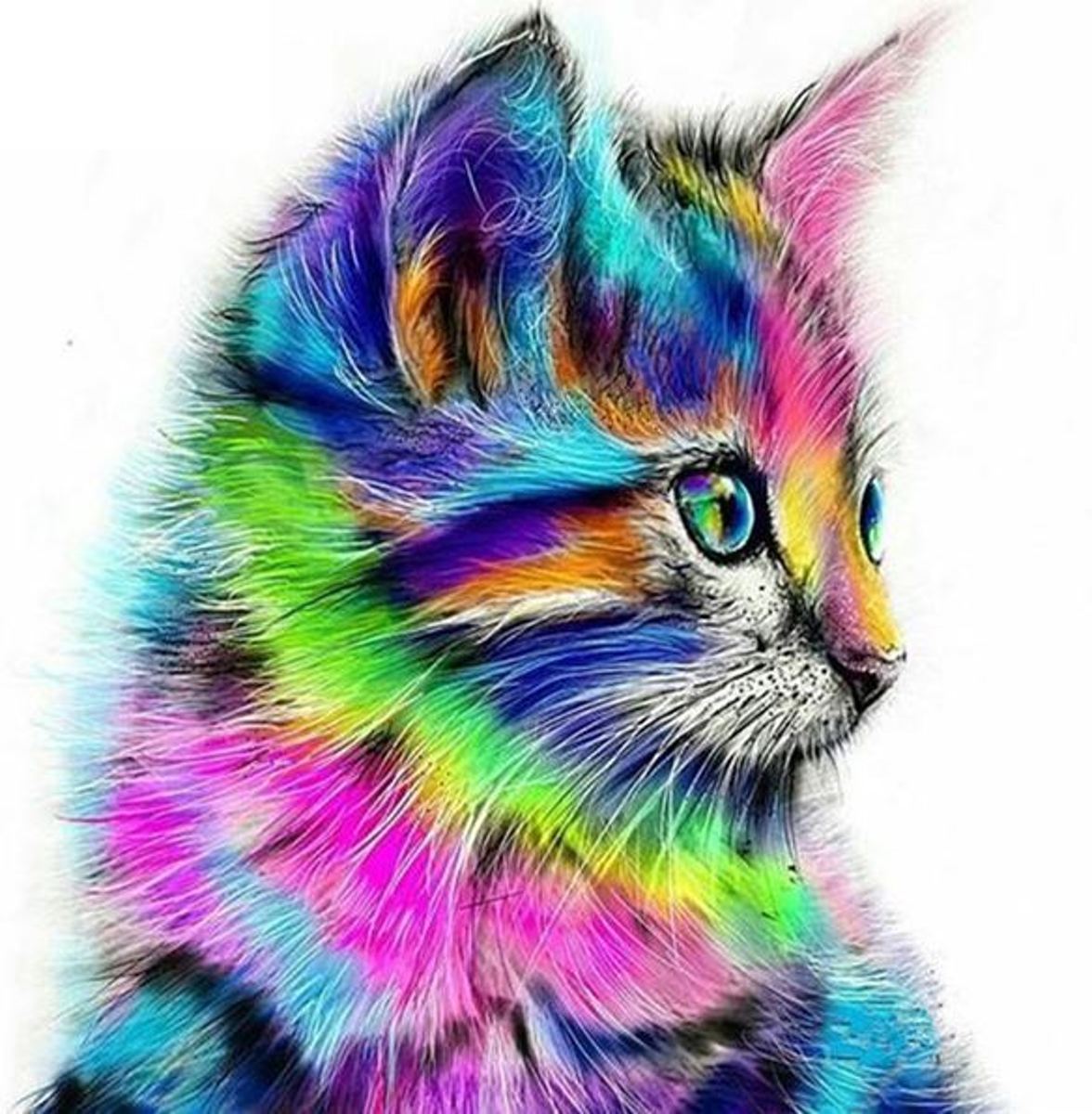 Diamond Painting multicolor kitten 20x20 cm