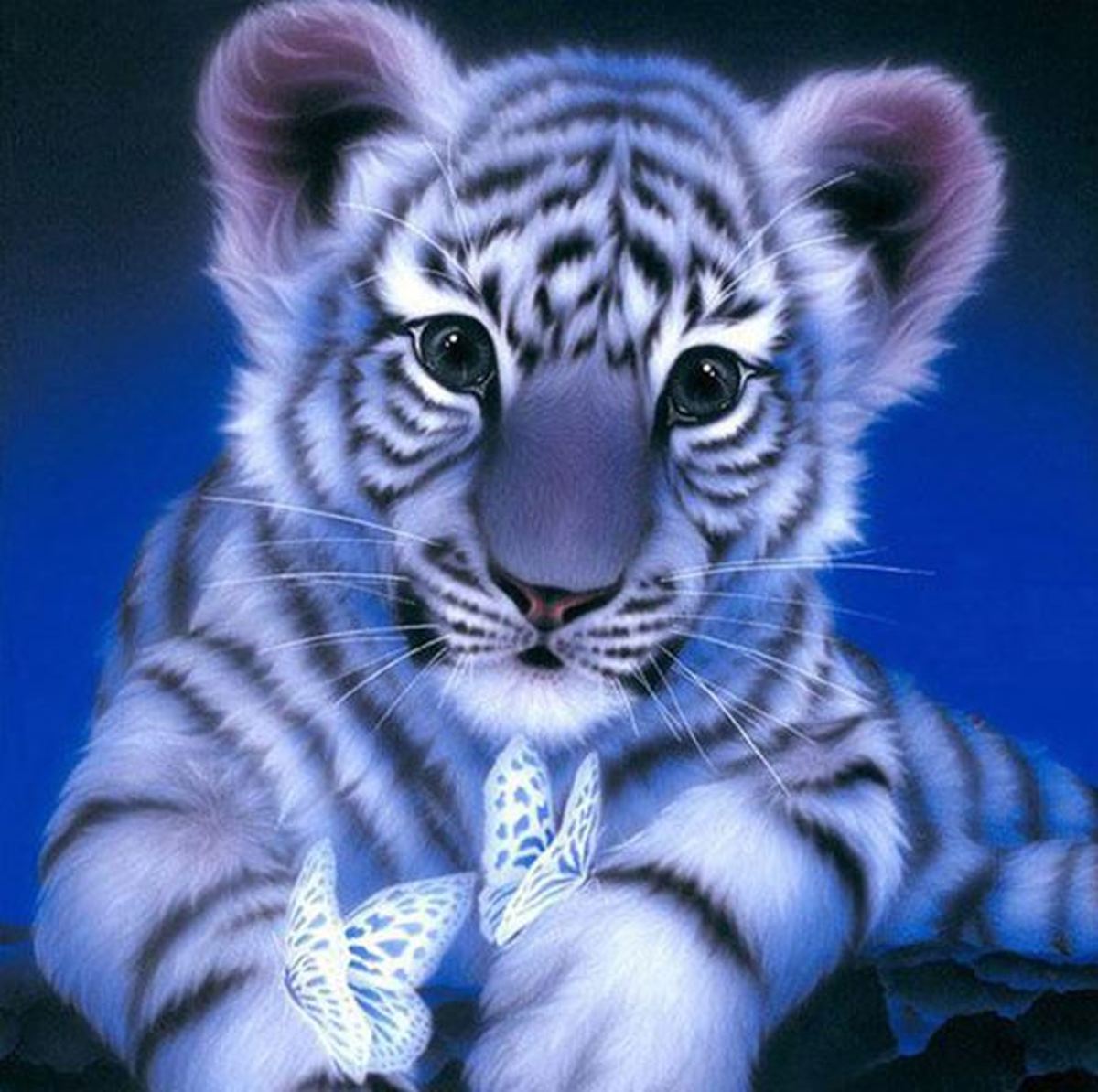 Diamond Painting tijger 20x20 cm