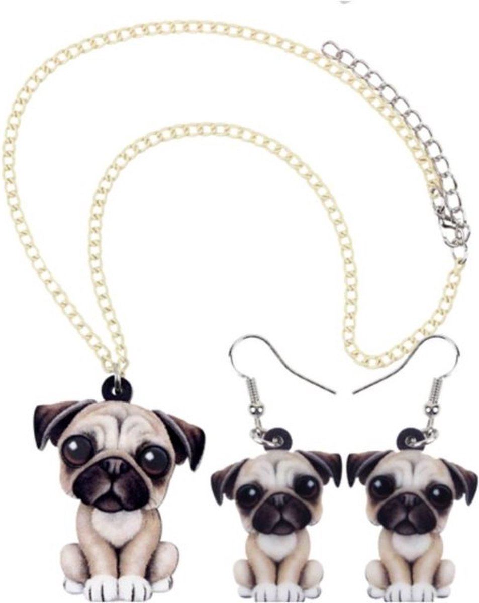 Franse Bulldog oorbellen + ketting