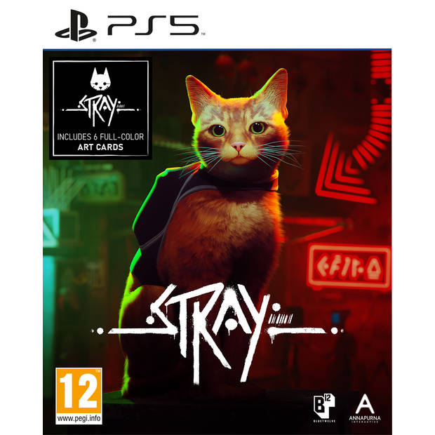 Stray -  