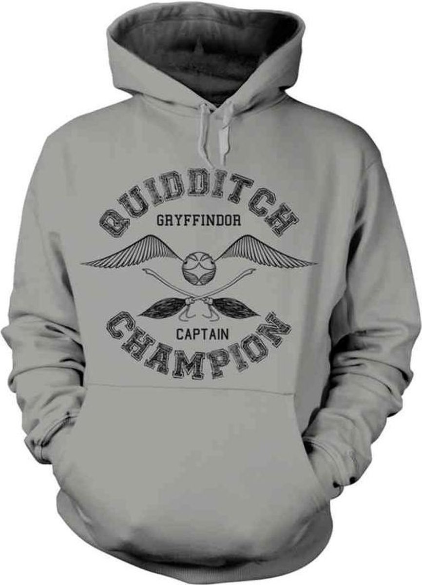 Harry Potter Hoodie/trui -XL- QUIDDITCH CHAMPION Grijs