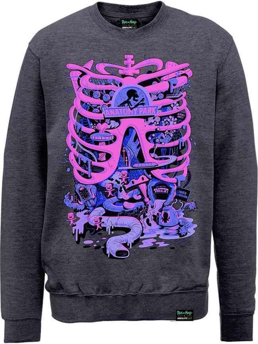 Rick And Morty Sweater/trui -L- Anatomy Park Grijs