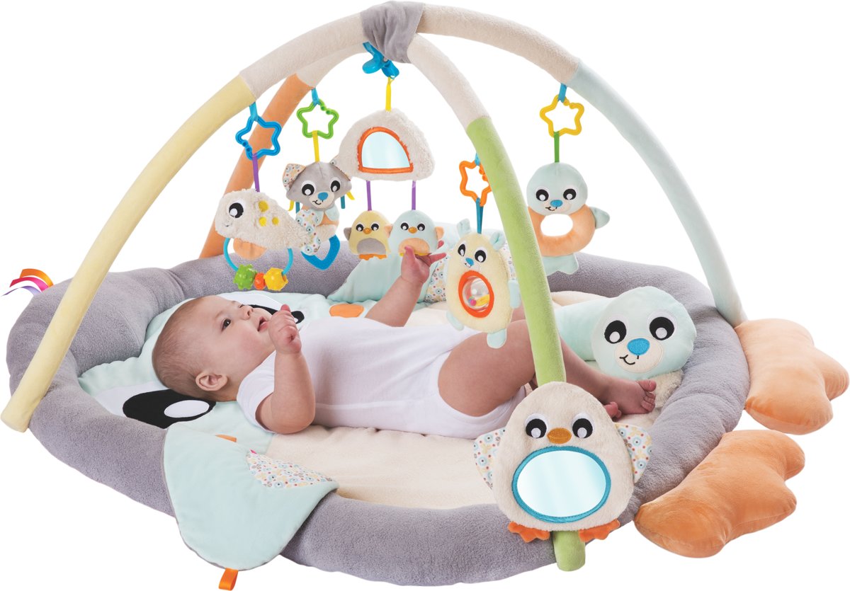   Babygym Penquïn met buikligkussen