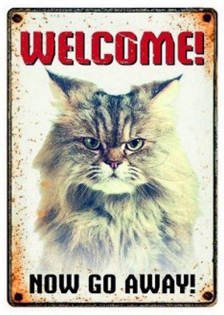 Plenty gifts waakbord blik grumpy cat (15X21 CM)