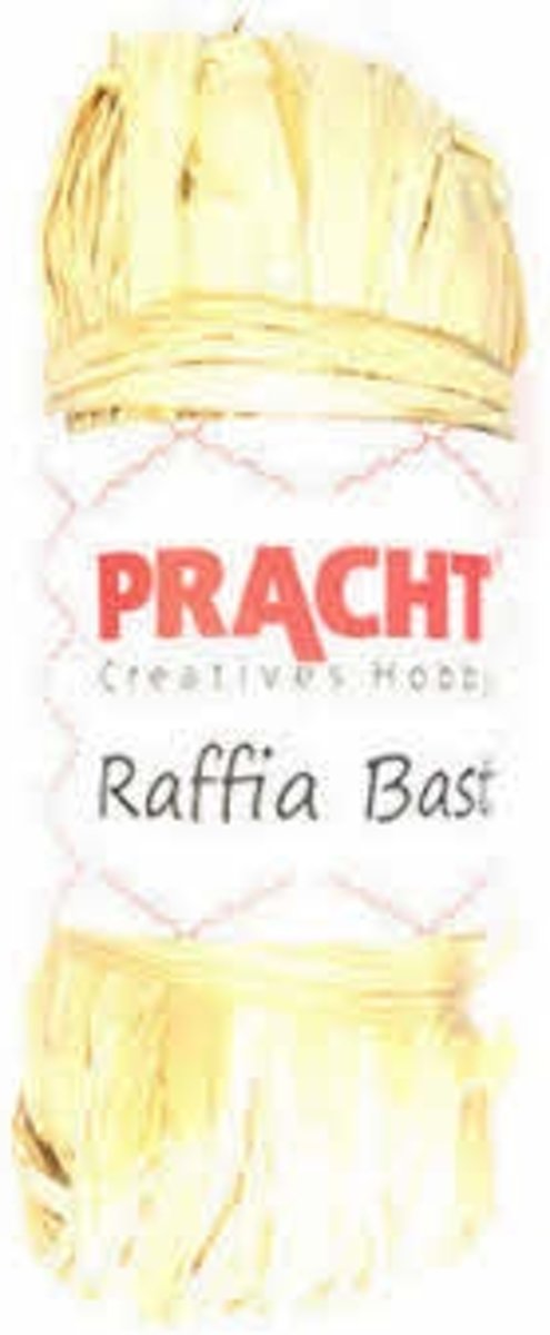 4501-00541 Raffiabast natuur gebleekt 50gram