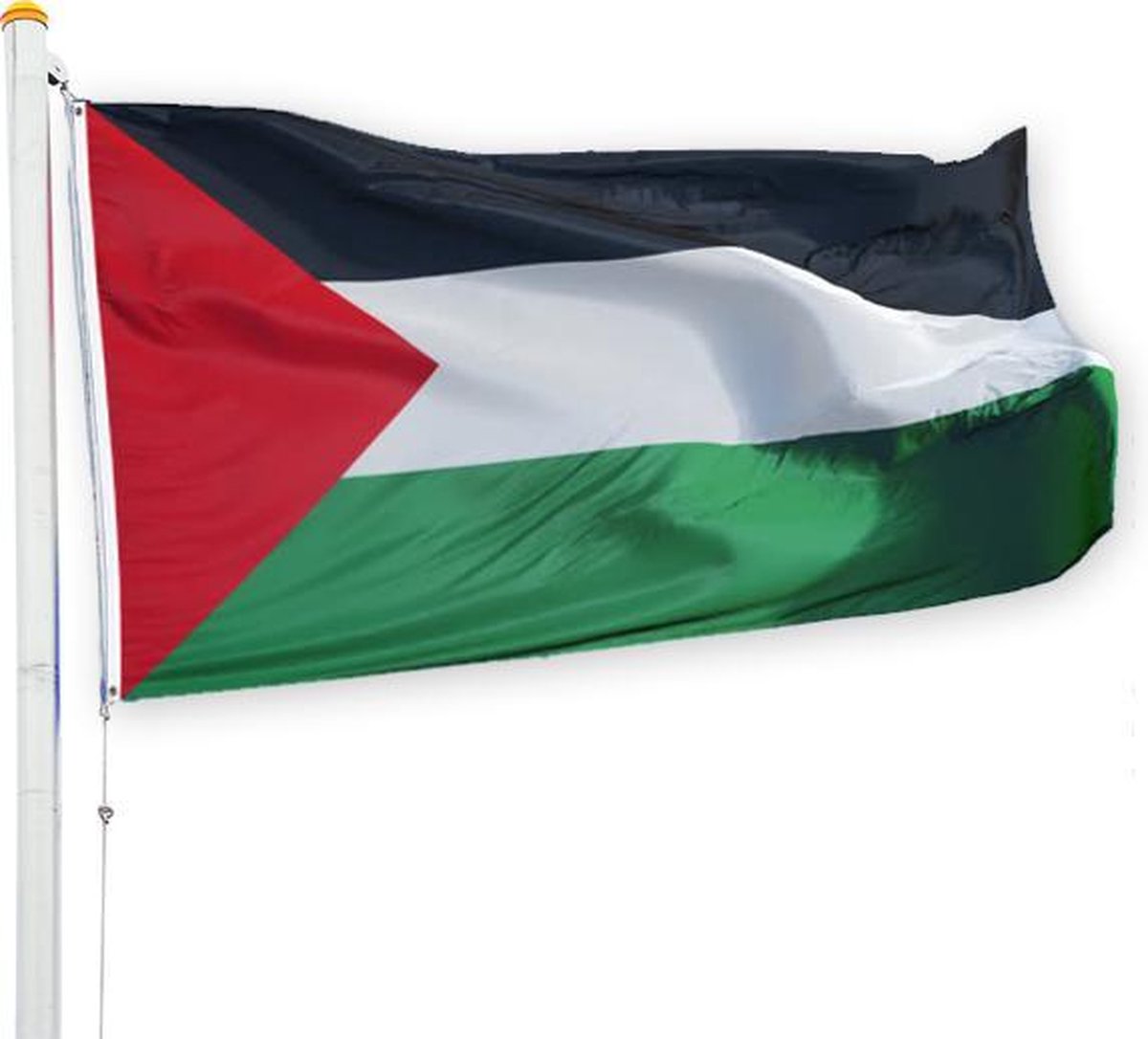 Palestijnse vlag