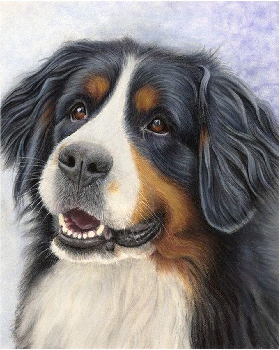 Premium Paintings - Berner Sennen Hond - Diamond Painting Volwassenen - Pakket Volledig / Pakket Full - 30x40