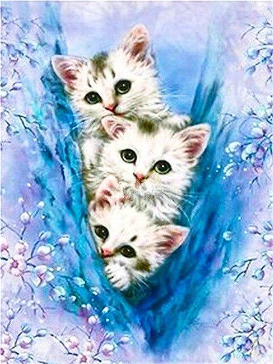 Premium Paintings - Drie Kittens - Diamond Painting Volwassenen - Pakket Volledig / Pakket Full - 30x40 cm