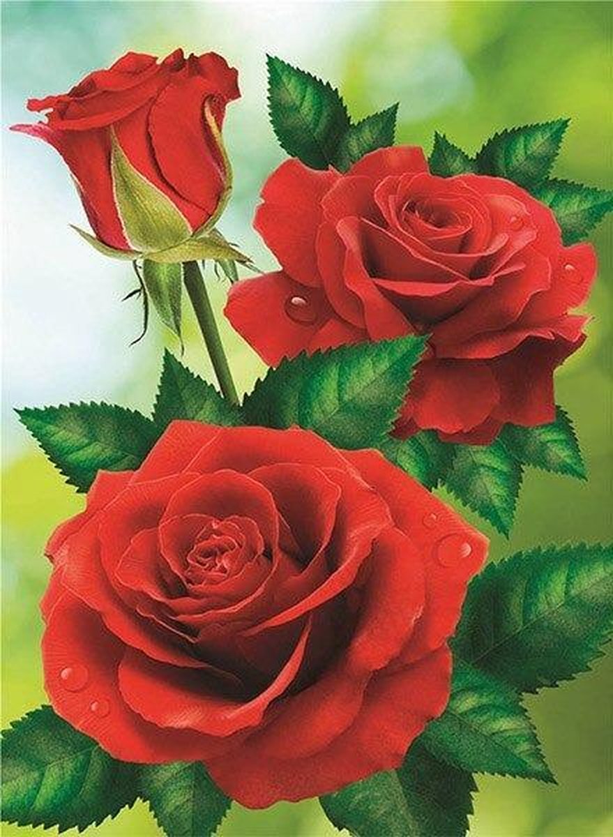 Premium Paintings - Drie Rode Rozen - Diamond Painting Volwassenen - Pakket Volledig / Pakket Full - 30x40 cm