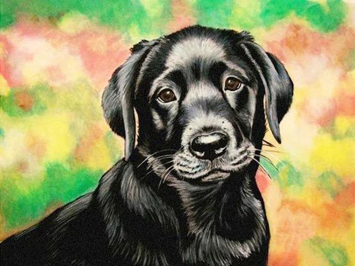 Premium Paintings - Flatcoated Retriever Puppy - Diamond Painting Volwassenen - Pakket Volledig / Pakket Full - 30x40 cm