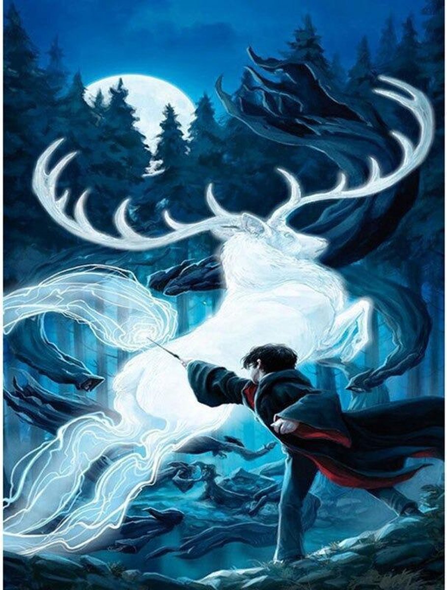 Premium Paintings - Harry Potter met Patronus - Diamond Painting Volwassenen - Pakket Volledig / Pakket Full - 30x40 cm