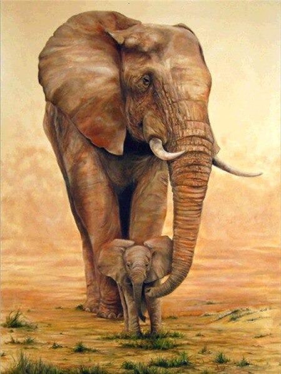 Premium Paintings - Olifant En Baby - Diamond Painting Volwassenen - Pakket Volledig / Pakket Full - 30x40 cm