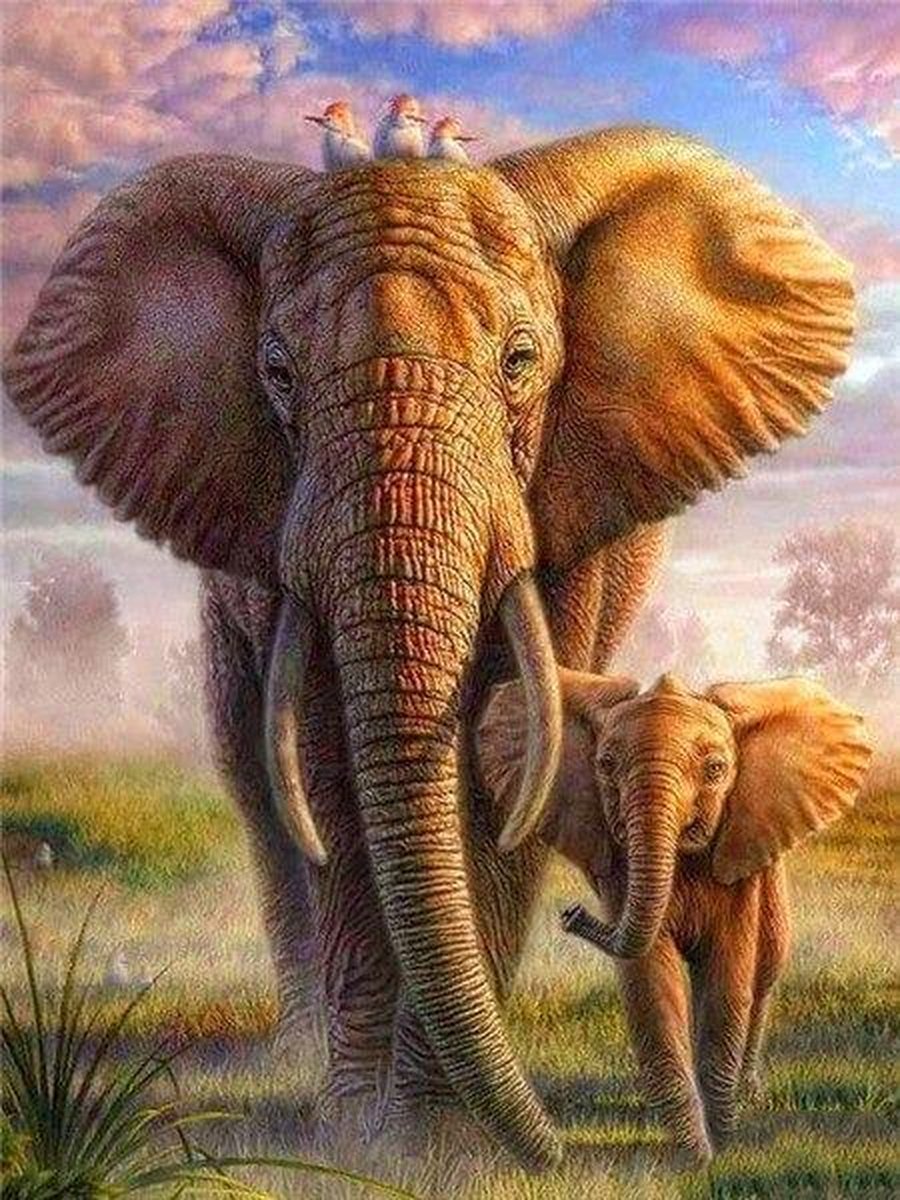 Premium Paintings - Olifant Met Veulen - Diamond Painting Volwassenen - Pakket Volledig / Pakket Full - 30x40 cm