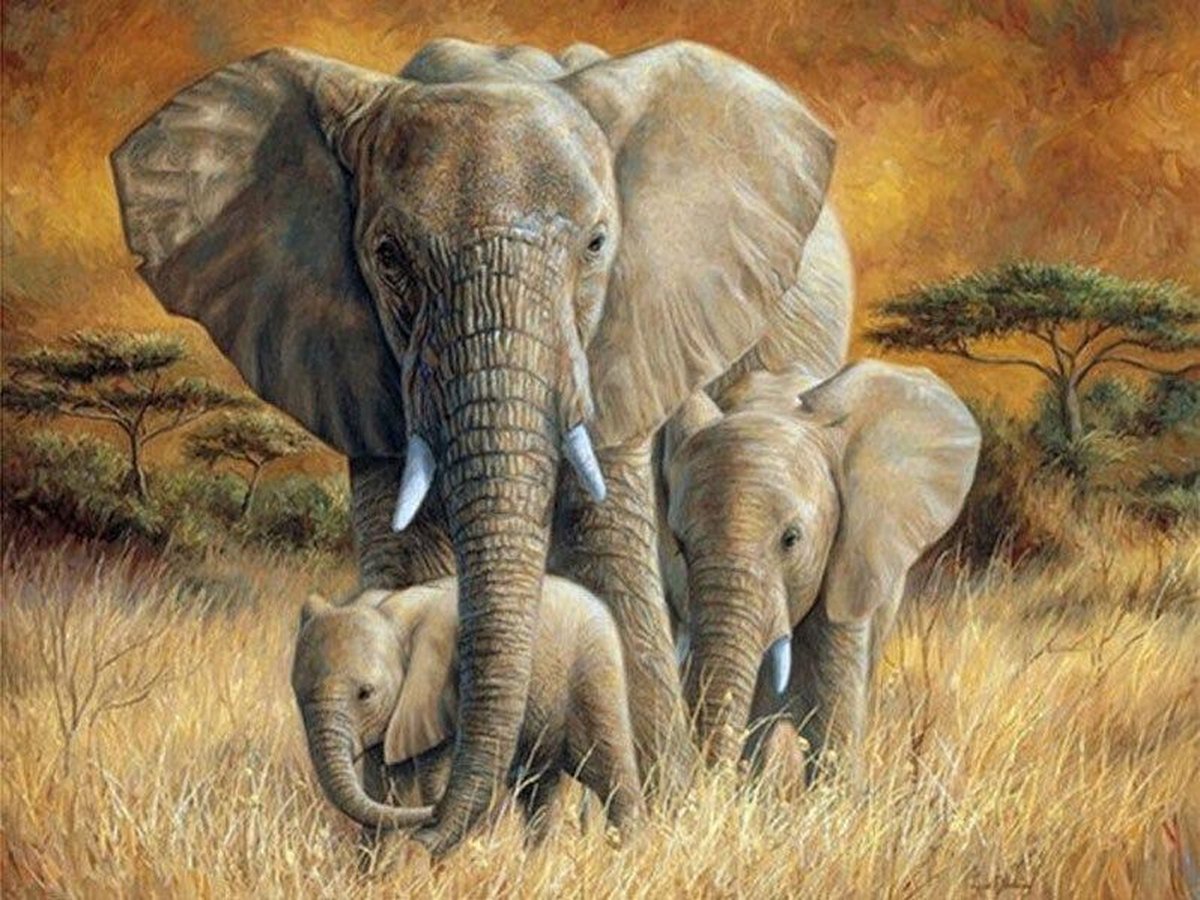 Premium Paintings - Olifant met Twee Babys - Diamond Painting Volwassenen - Pakket Volledig / Pakket Full - 30x40 cm