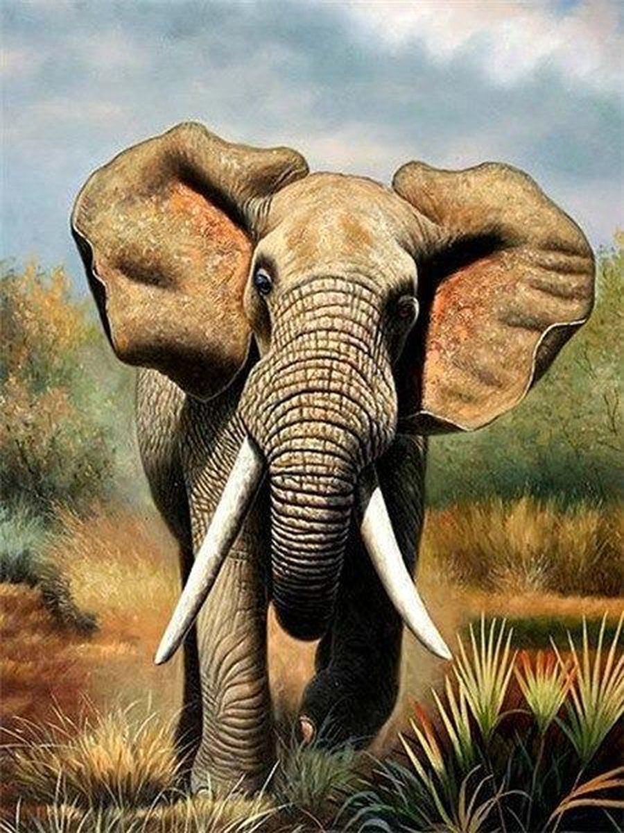 Premium Paintings - Realistische Olifant - Diamond Painting Volwassenen - Pakket Volledig / Pakket Full - 30x40 cm