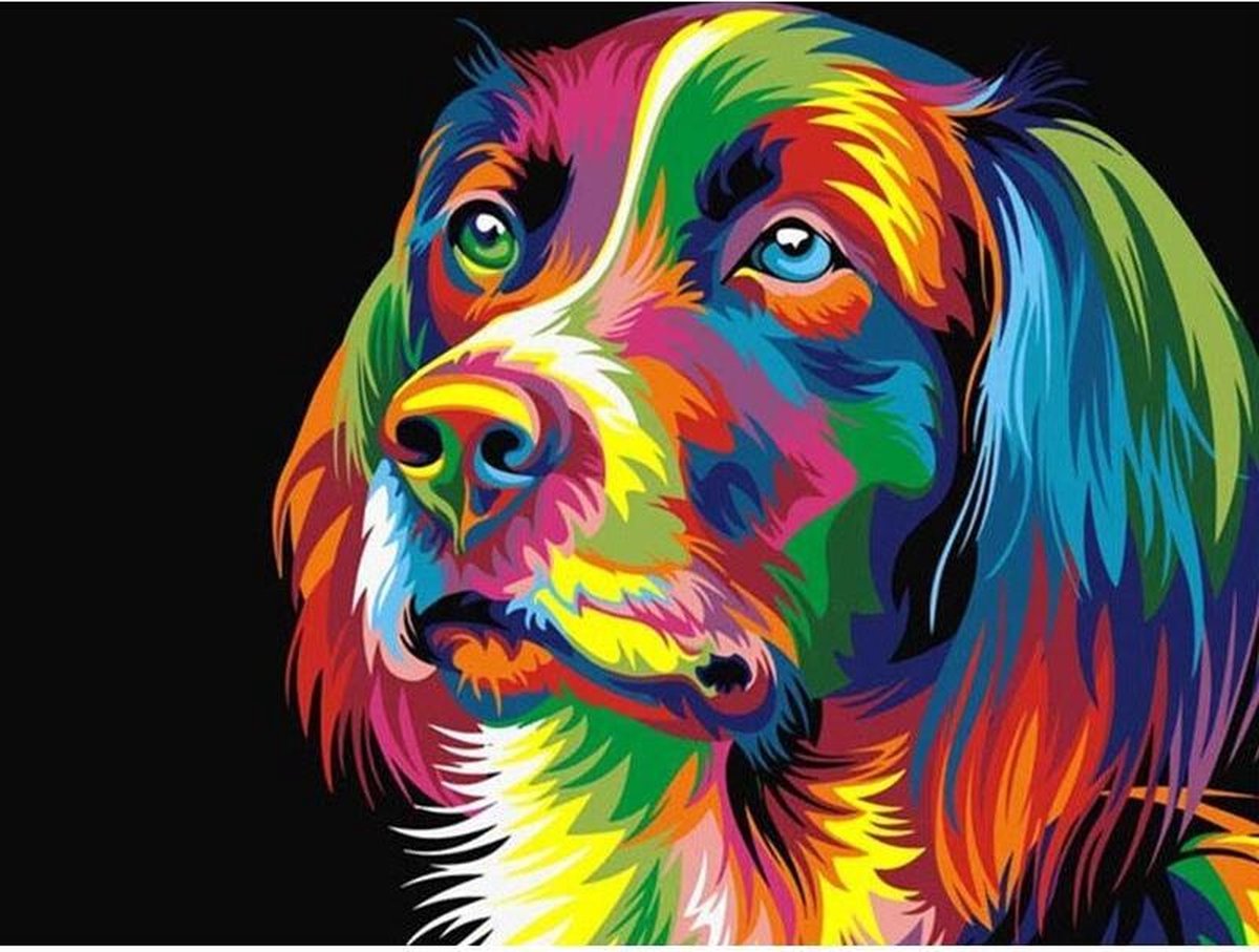 Premium Paintings - Regenboog Hond - Diamond Painting Volwassenen - Pakket Volledig / Pakket Full - 30x40 cm