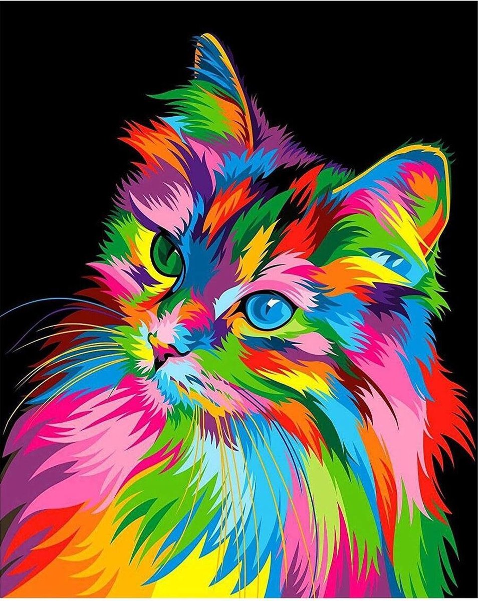 Premium Paintings - Regenboog Kat - Diamond Painting Volwassenen - Pakket Volledig / Pakket Full - 30x40 cm