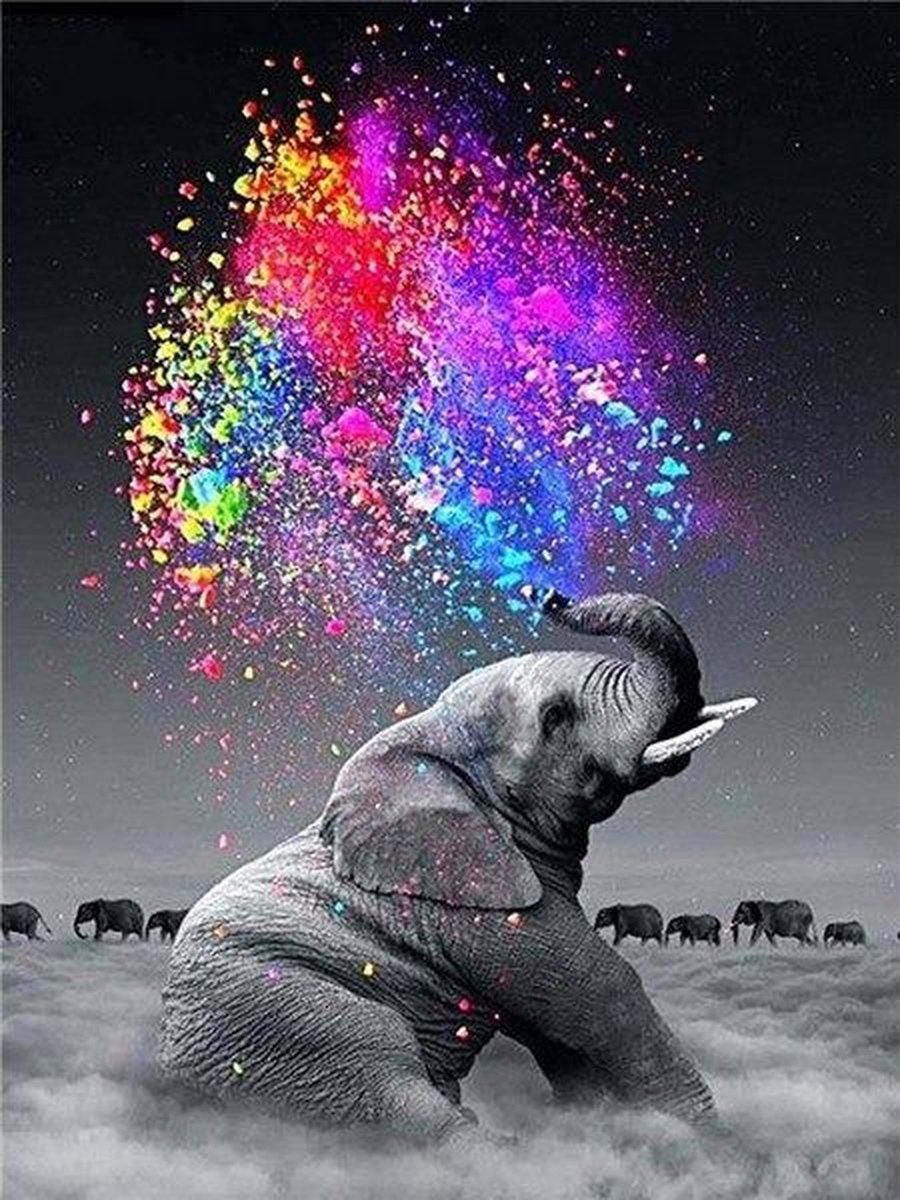 Premium Paintings - Regenboog Olifant - Diamond Painting Volwassenen - Pakket Volledig / Pakket Full - 30x40 cm