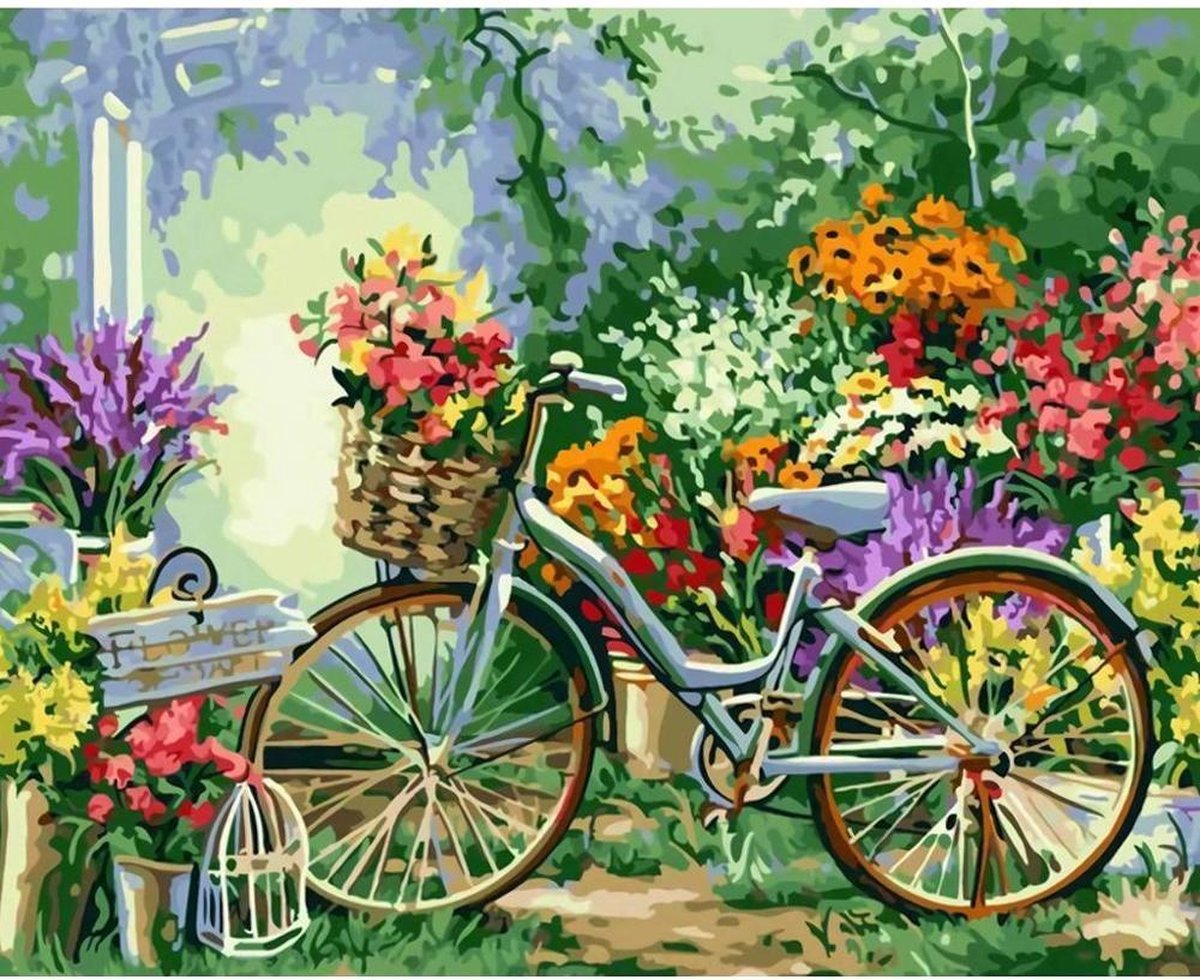 Premium Paintings - Schilderen op nummer - Bloemen - fiets - 40x50 cm - Met frame - Inclusief tools - Paint by number - Volwassenen - Kinderen