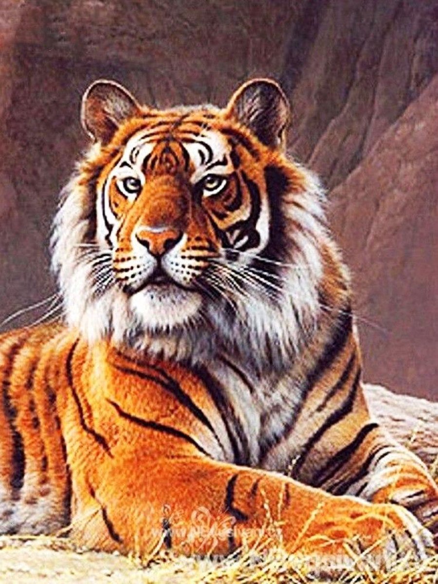 Premium Paintings - Siberische Tijger - Diamond Painting Volwassenen - Pakket Volledig / Pakket Full - 30x40 cm