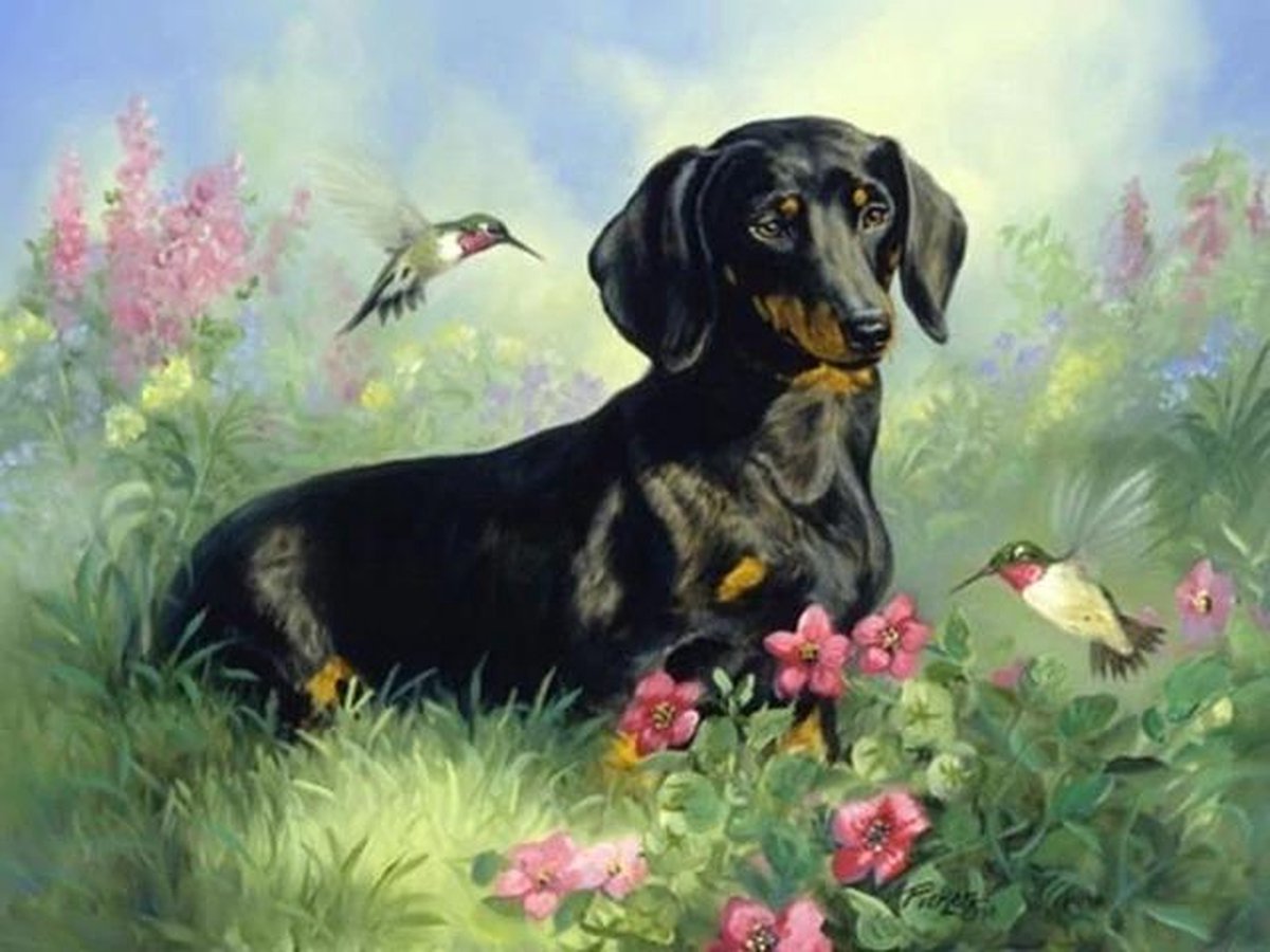 Premium Paintings - Teckel met Vogels - Diamond Painting Volwassenen - Pakket Volledig / Pakket Full - 30x40 cm