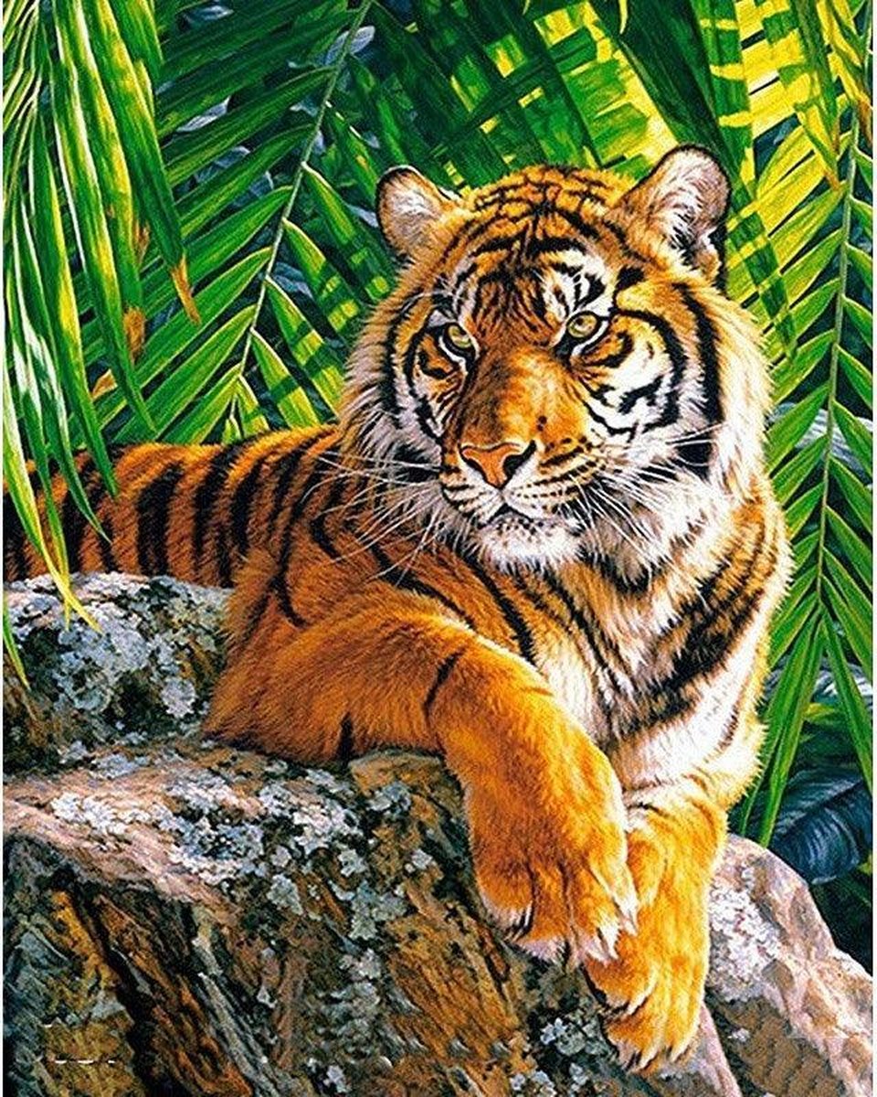 Premium Paintings - Tijger op Rots - Diamond Painting Volwassenen - Pakket Volledig / Pakket Full - 30x40 - Moederdag cadeautje