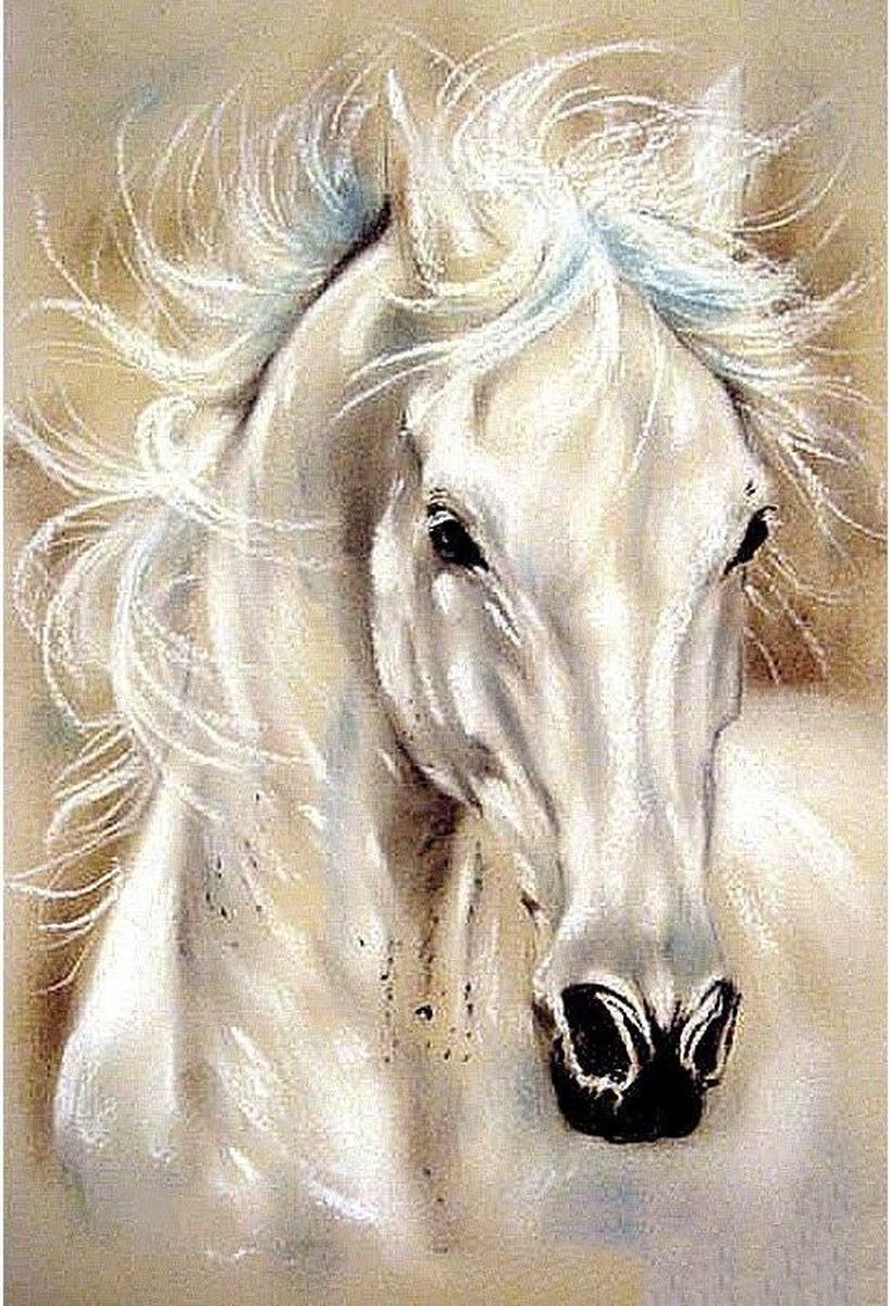 Premium Paintings - Wit Paard - Diamond Painting Volwassenen - Pakket Volledig / Pakket Full - 30x40 cm