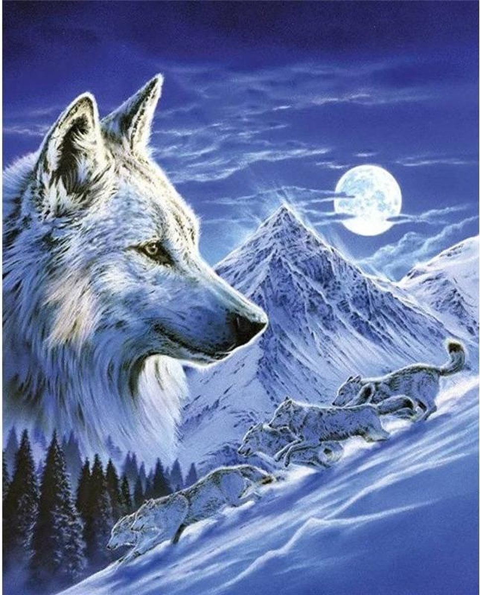 Premium Paintings - Wolf bij Volle Maan - Diamond Painting Volwassenen - Pakket Volledig / Pakket Full - 30x40 - Moederdag cadeautje