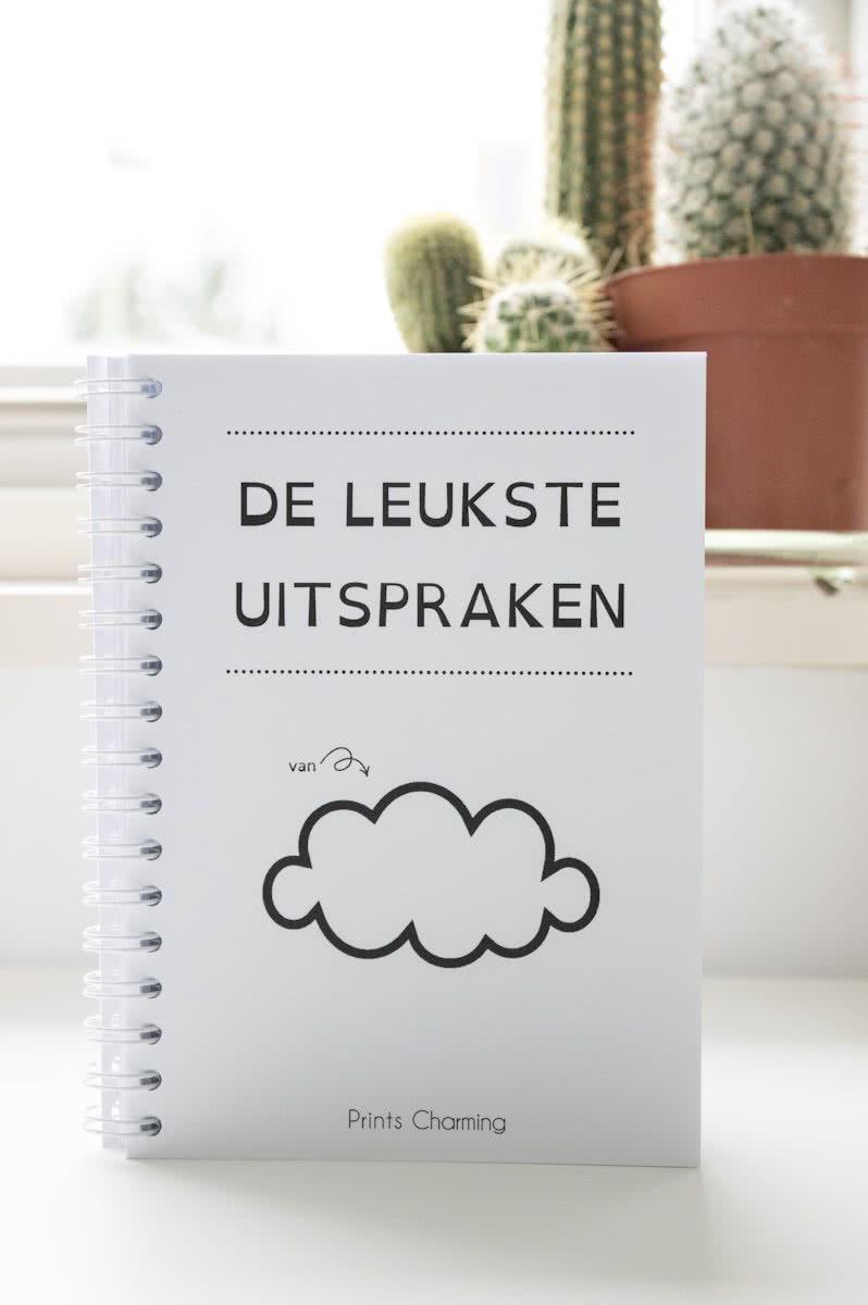 Uitsprakenboekje - boekje uitspraken - Prints Charming