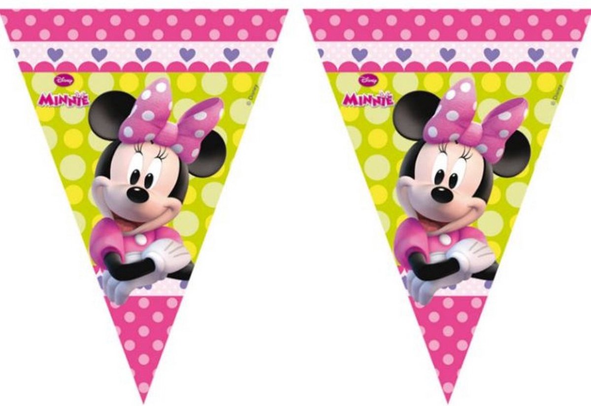 vlaggenlijn Minnie Mouse Party meisjes 3 meter roze