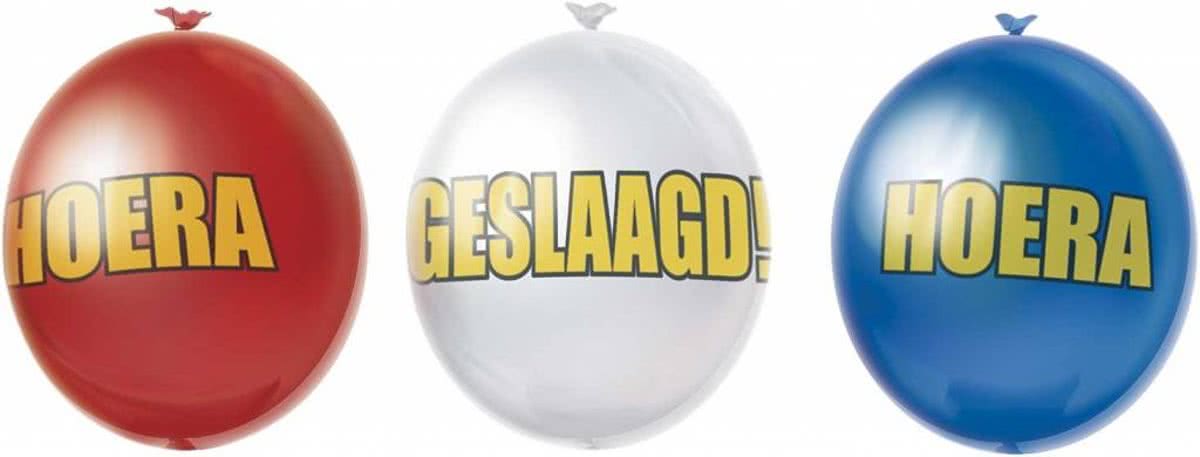 Geslaagd Ballonnen 25cm 10 stuks