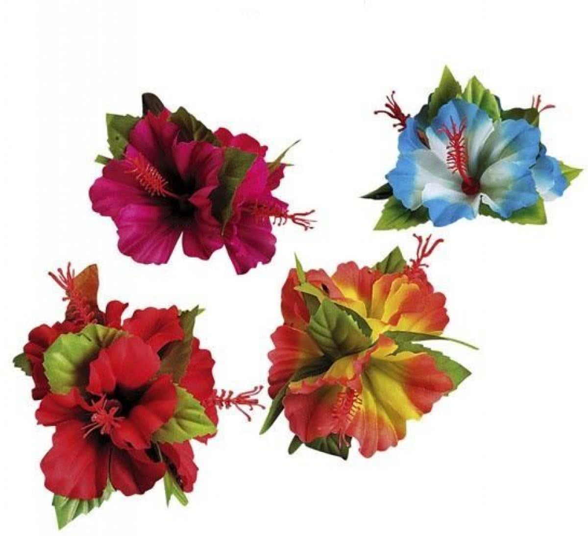 Haarbloem Hibiscus