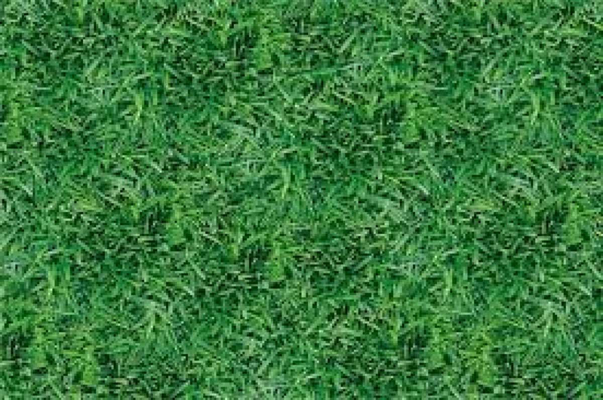 Voetbal Tafelkleed Gras