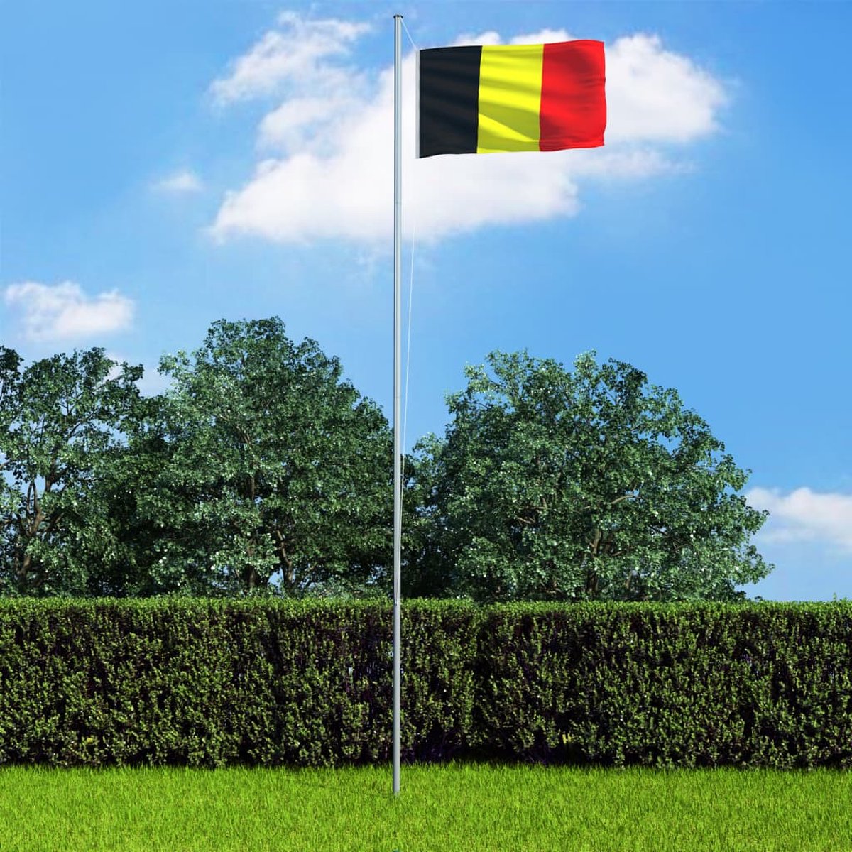 Prolenta Premium - Vlag België 90x150 cm - Huis en Tuin