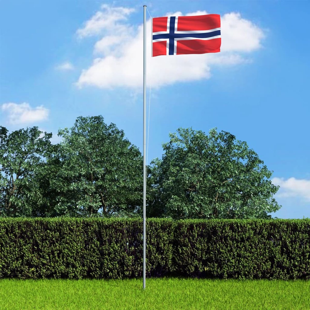 Vlag Noorwegen 90x150 cm