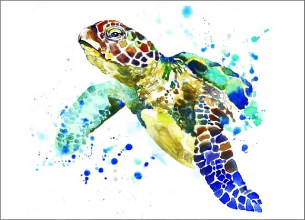 Diamond Painting Graceful Turtle 40 x 30 cm ronde steentjes met kader