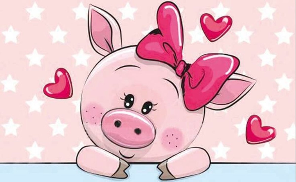 Diamond Painting Piggy in Love 30 x20 cm ronde steentjes met kader