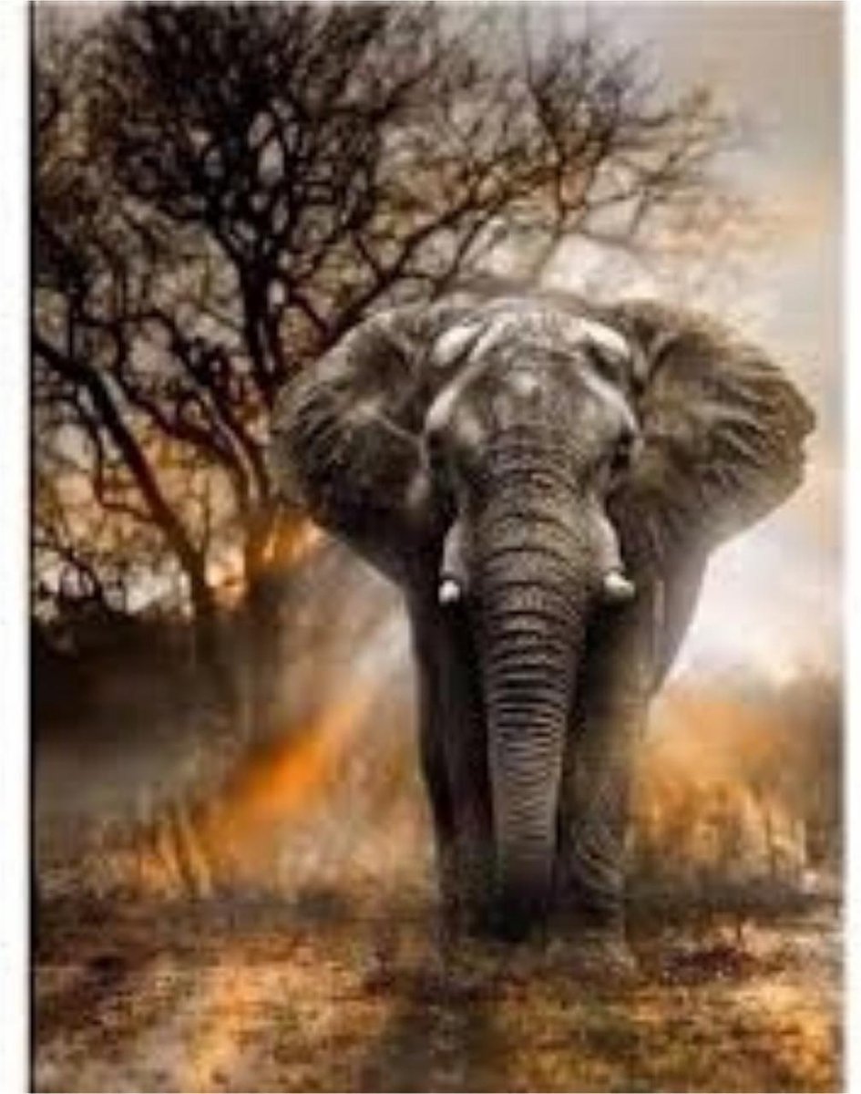 Diamond Painting - Olifant - 70 x 59 cm - 44 Diverse Kleuren - Ronde Steentjes - Volwassenen - Diamond Painting Volledig Pakket - Hobby Pakket - Starterspakket