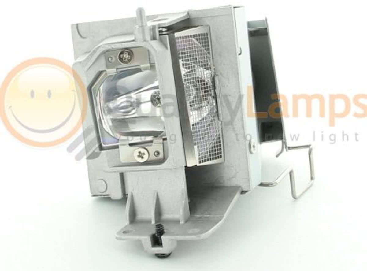 Optoma BL-FU195A / Optoma SP.72G01GC01 Beamerlamp (bevat originele UHP lamp)