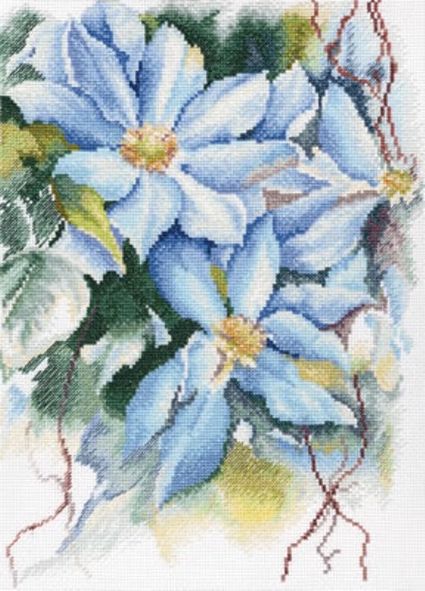 Blue clematis stars - Aida telpakket - RTO