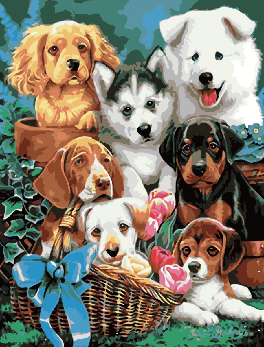 Compleet Full Diamond Painting voor volwassenen en kinderen - Honden puppys - 30x40cm volledig pakket met accessoires - Cadeau tip