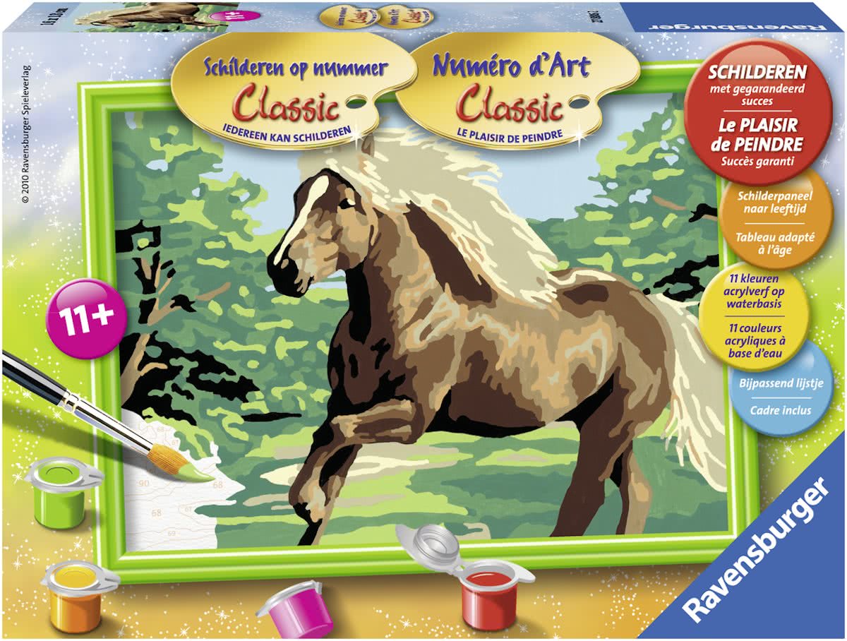 Iedereen Kan Schilderen - Galopperende Hengst