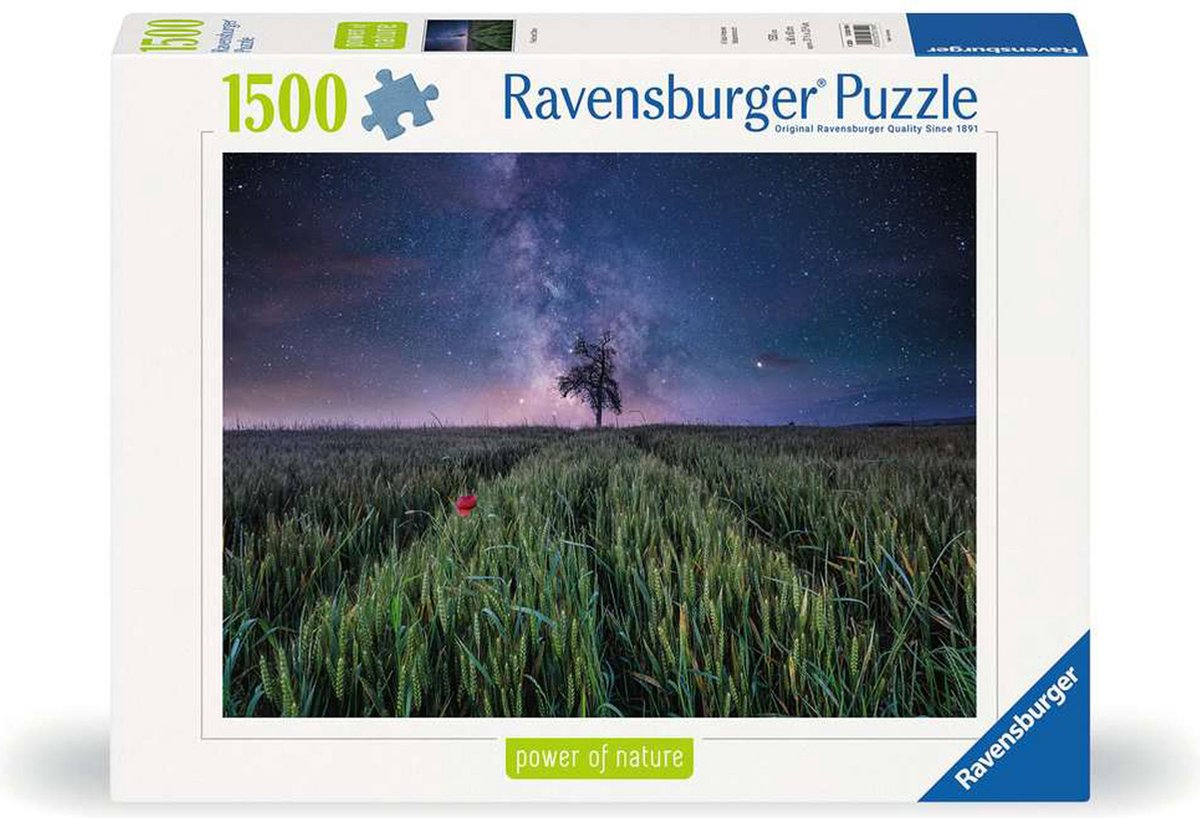 Puzzel Donkere hemel boven veld 1500pcs
