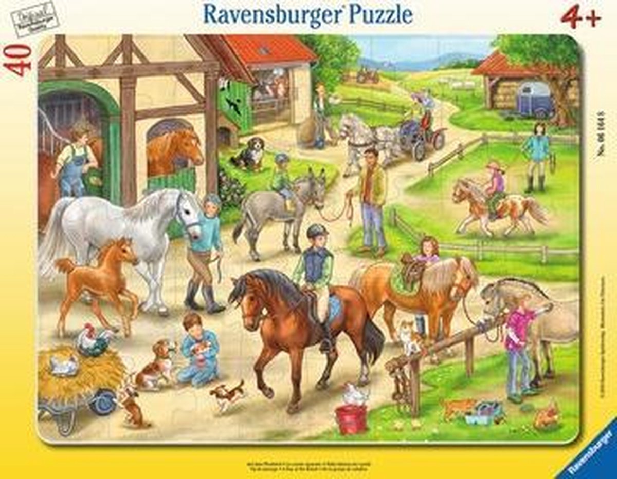 Ravensburger 00.006.164 Tegelpuzzel 40 stuk(s)