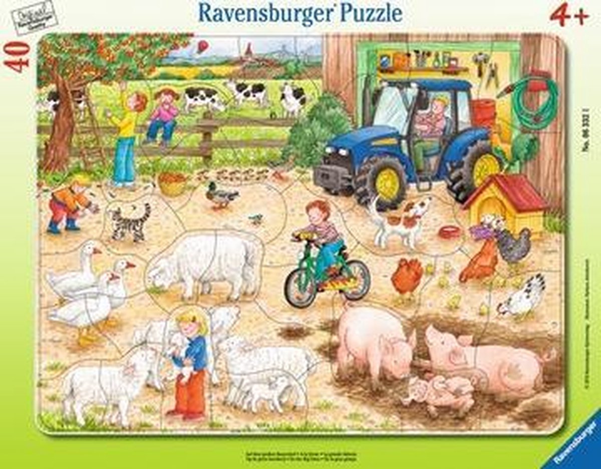 Ravensburger 4005556063321 Contourpuzzel 40 stuk(s)