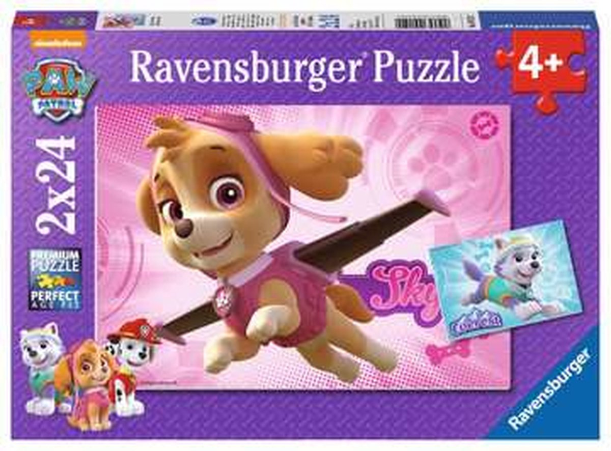   Paw Patrol Skye and Everest Legpuzzel 24 stuk(s) Stripfiguren