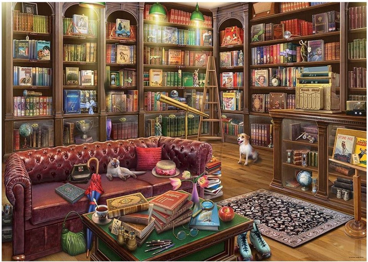   The Reading Room - 1000 Teile.