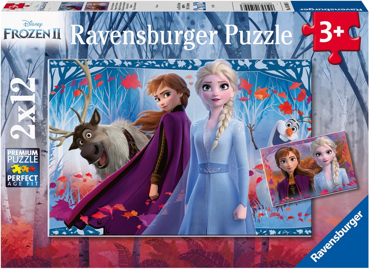   puzzel Disney Frozen 2 - Twee puzzels - 12 stukjes - kinderpuzzel