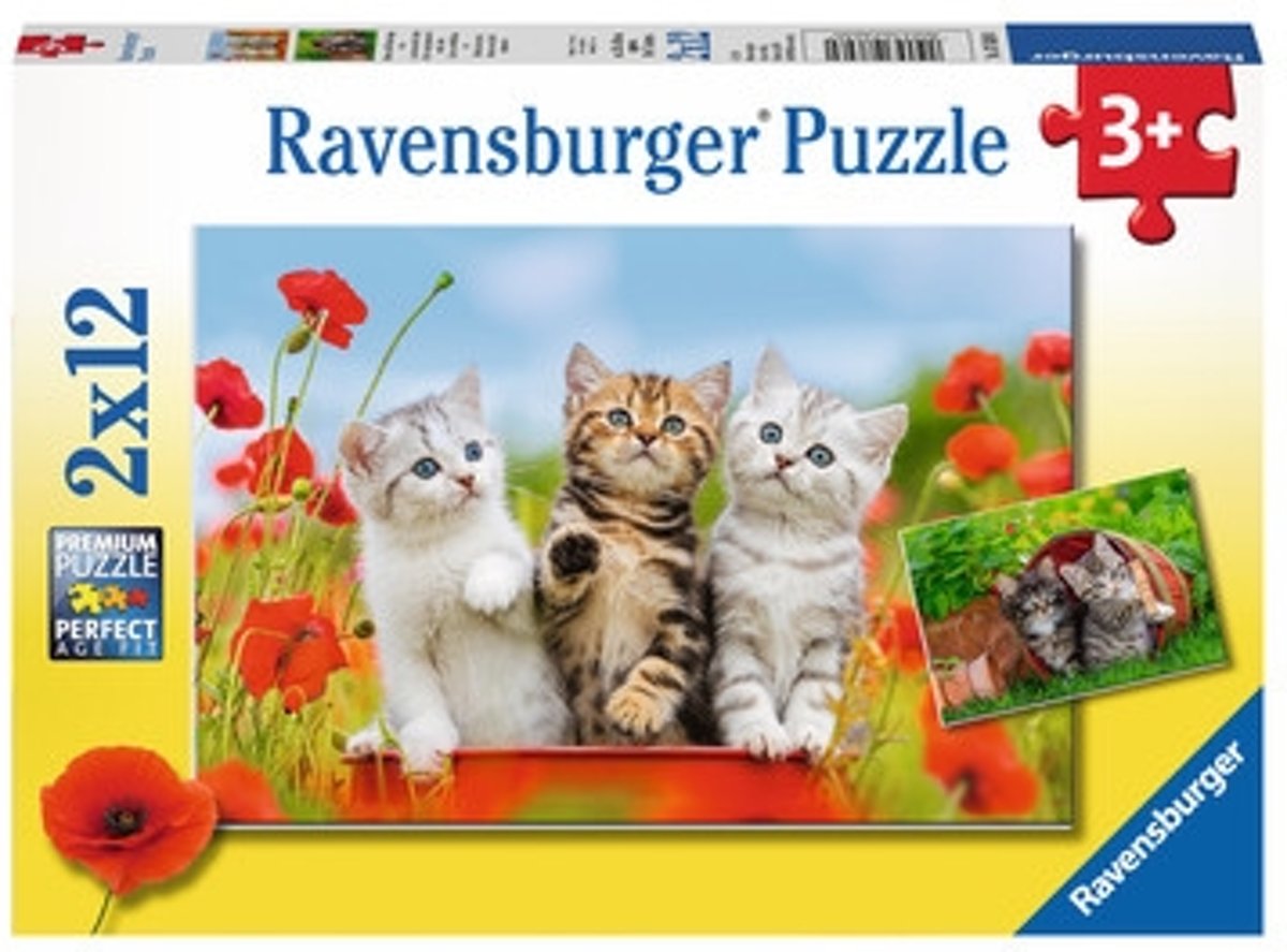   puzzel Katjes op ontdekkingsreis - Twee puzzels - 12 stukjes - kinderpuzzel