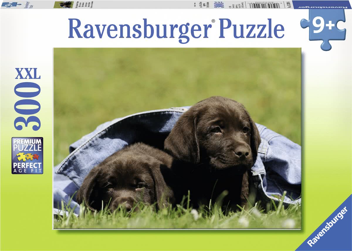   puzzel Labrador pups - Legpuzzel - 300 stukjes